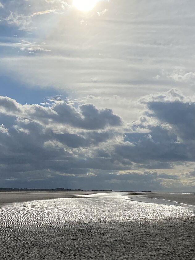 Home. Wells-by-the-sea